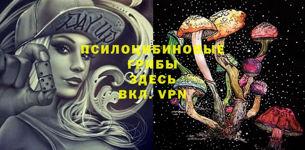 гидропоника Арсеньев