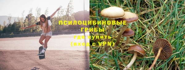гидропоника Арсеньев