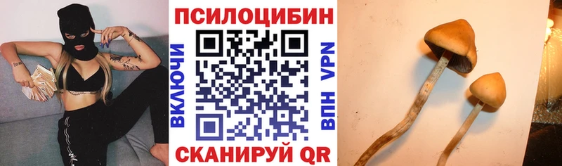 блэк спрут как войти  Никольск  Псилоцибиновые грибы мицелий  как найти  
