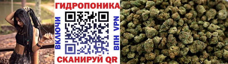 Бошки марихуана Amnesia  shop как зайти  Никольск  блэк спрут ССЫЛКА 